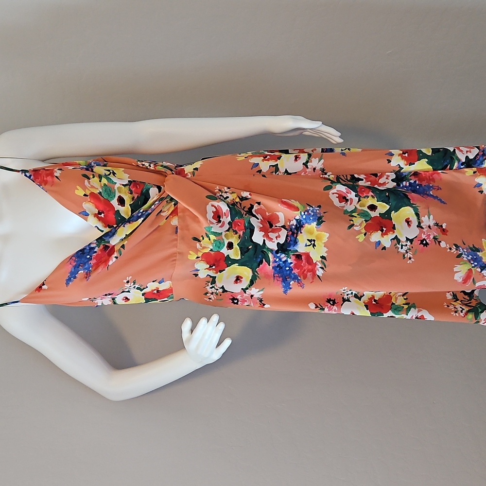 NWT Express dress
